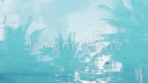 摘要背景视频游泳池棕榈树的倒影视频的预览图