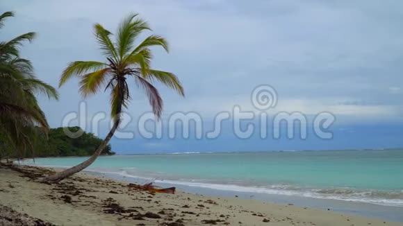 热带海滩和棕榈树视频的预览图