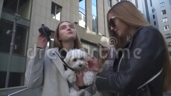 两个小女孩手牵着小狗在聊天视频的预览图