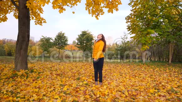 快乐的女人欣赏秋天的树叶欣赏黄色的枫树视频的预览图