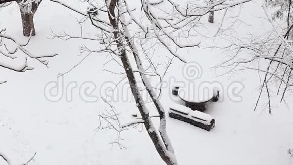 在一个有白雪覆盖的树木的冬季公园里一张降雪下的小木桌视频的预览图