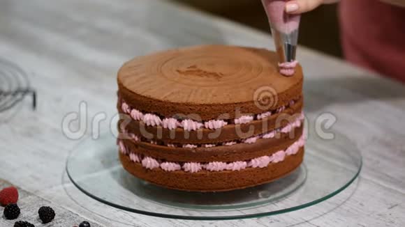 一步一步面包师用五颜六色的奶油糖霜组装一个巧克力蛋糕视频的预览图