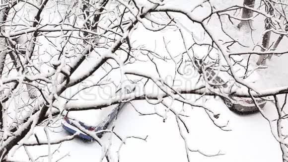 两辆车在一个积雪覆盖着树木的冬季公园里视频的预览图