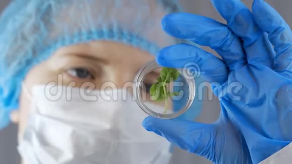 化学家拿着一块玻璃在实验室里测试植物视频的预览图