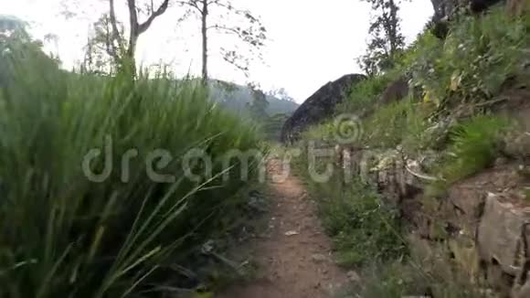 斯里兰卡努瓦拉埃利亚山脉视频的预览图