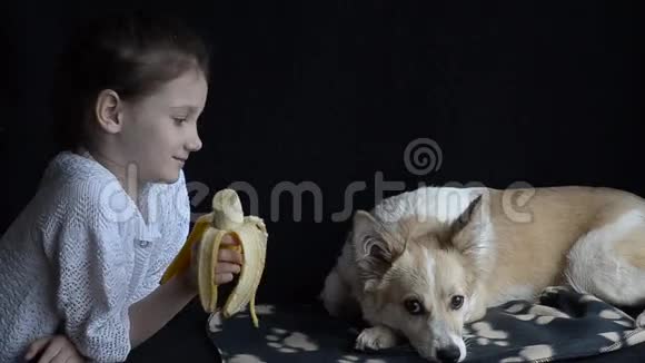 女孩对待狗香蕉视频的预览图