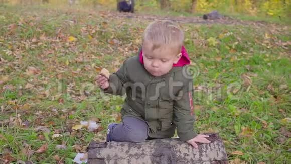 户外肖像可爱的幼儿男孩在秋天公园玩和吃饼干视频的预览图