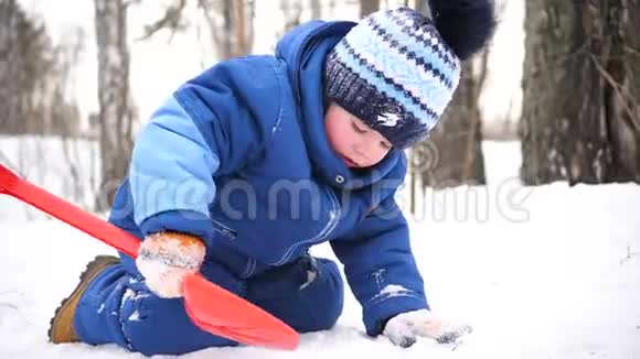 一个小孩在冬天的公园里玩雪阳光明媚的冬天白天新鲜空气中的乐趣和游戏视频的预览图