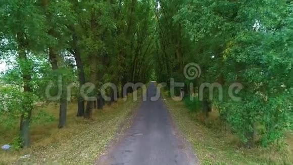 东欧国家公路之间的绿树空中拍摄视频的预览图
