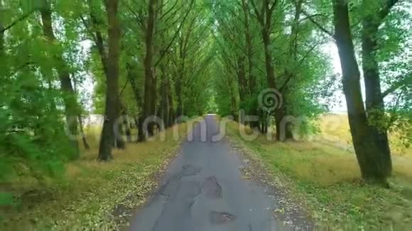 树木之间风景如画的乡间小路空中拍摄视频的预览图