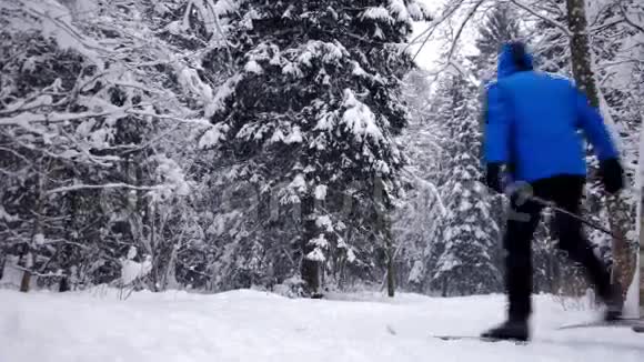 冬季森林滑雪视频的预览图