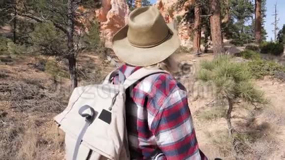 一位旅游妇女仰望着布莱斯峡谷和松树的大岩石视频的预览图