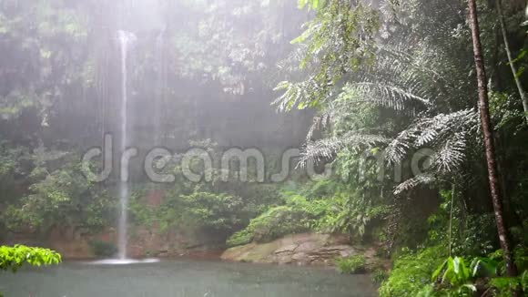 婆罗洲雨林雨天瀑布视频的预览图