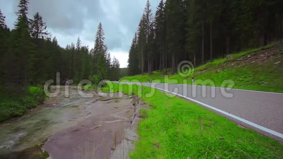 汽车在树林中央的道路上行驶旁边有一条河视频的预览图