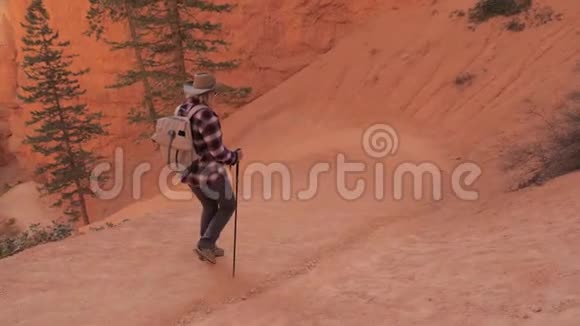 在布莱斯峡谷的岩壁附近的蛇形小径上徒步旅行者的女人走下视频的预览图