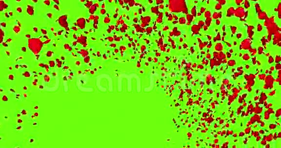 3d动画红色玫瑰花瓣在彩色键上带漩涡飞行绿色屏幕背景视频的预览图