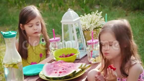 两个女孩在夏季野餐时吃草莓视频的预览图