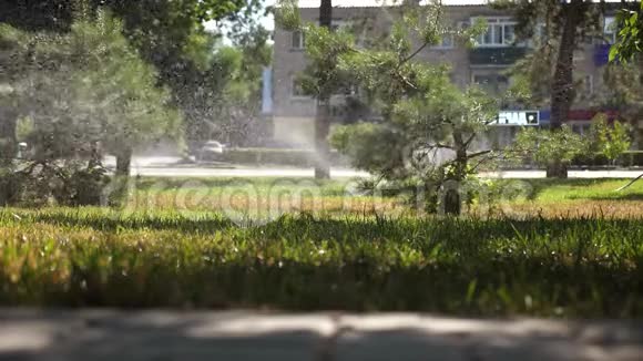浇水系统在草坪上喷水美丽的公园花园在美丽的日出时浇水小滴滴滴视频的预览图