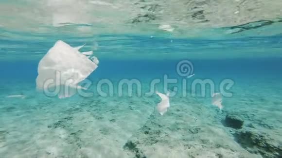 生态塑料海洋污染视频的预览图