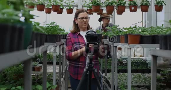 园丁呈现植物到相机视频的预览图