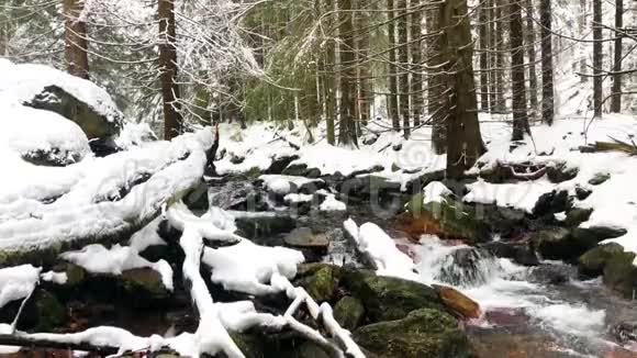 捷克共和国杰塞尼基山脉比拉奥帕瓦河瀑布的童话冬季景观4k段录像视频的预览图
