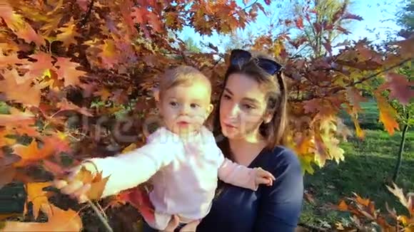 妈妈和她的小宝贝女儿站在红树前秋季公园视频的预览图