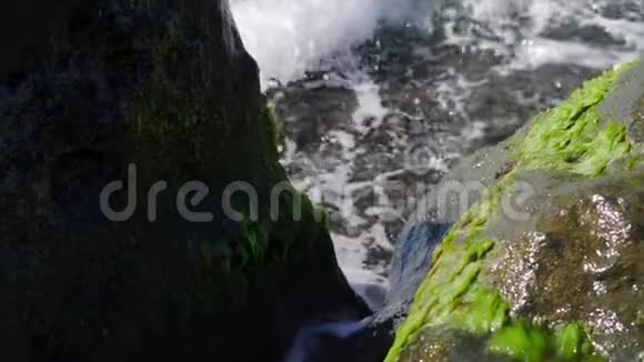 特写镜头海浪海岸上长满藻类的石头慢动作视频的预览图