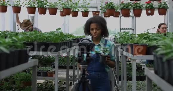 园丁呈现植物到相机视频的预览图