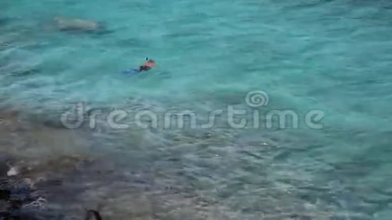 在加勒比海的浮潜视频的预览图