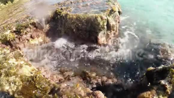 海水中有褐藻和波浪的水下景观视频的预览图