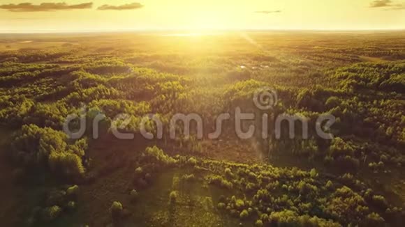 空中生态林日落美景拍摄森林保护拯救生物和自然的理想背景视频的预览图