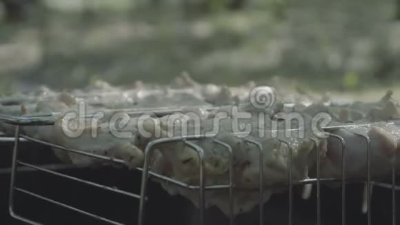 4k慢速动作近镜头的烹饪烤肉串在森林的煤视频的预览图