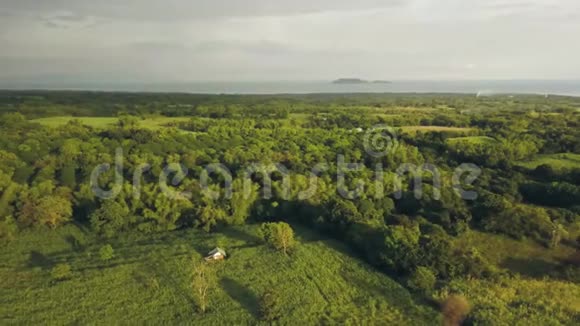 亚细亚村绿地上的空中景观水果园和园林无人驾驶飞机飞过热带花园视频的预览图
