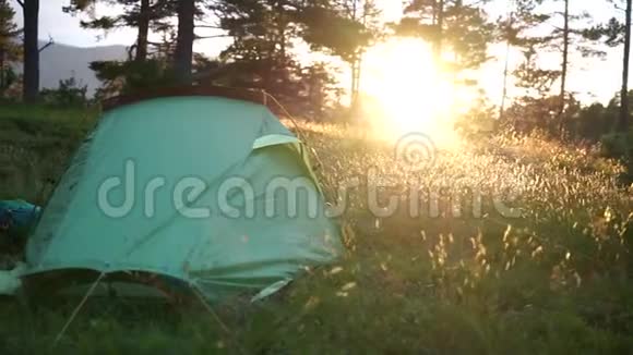 日落或日出时在森林里露营明亮的阳光视频的预览图
