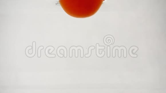 一个成熟的红西红柿在水下旋转潜水中间是白色背景视频的预览图