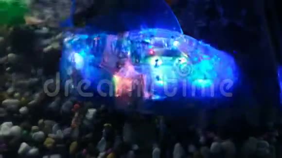 俄罗斯圣彼得堡2018年11月12日鱼机器人里面有灯泡在水中的水族馆里游泳视频的预览图