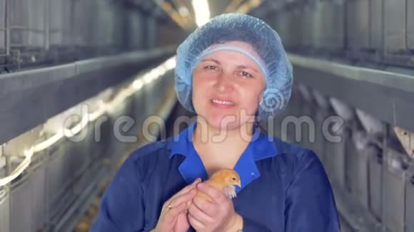 兽医对镜头微笑同时拍一只小鸡在手中4K视频的预览图