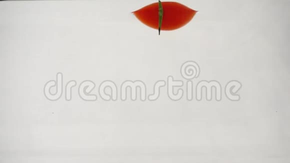 三个红色的西红柿和一根小树枝漂浮在水下白色的背景视频的预览图