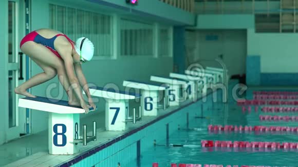 少女游泳运动员在游泳池跳水女游泳运动员在游泳池里跳水做游泳运动视频的预览图