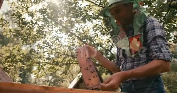 戴着特殊帽子面纱的养蜂人正在花园里和蜂巢一起工作在红色相机上拍摄视频的预览图