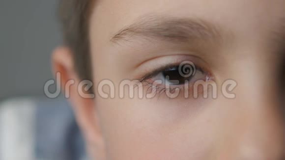 特写男孩棕色的眼睛视频的预览图