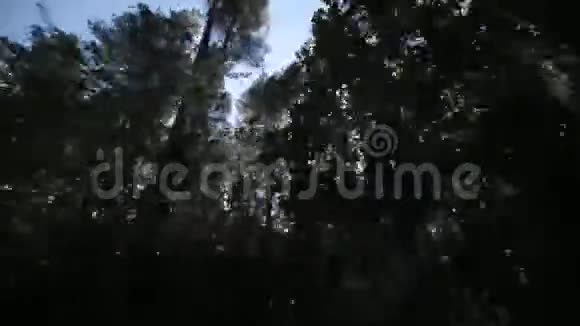 从车窗看到模糊的树木视频的预览图
