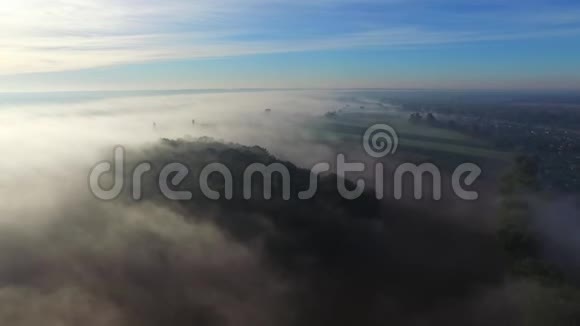 晨雾中的森林和田野鸟瞰视频的预览图