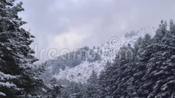 冬天的风景森林覆盖着雪冬季的山地背景视频的预览图