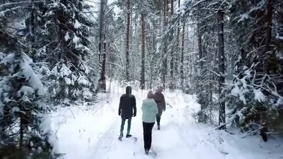 朋友们在冬天的公园散步视频的预览图
