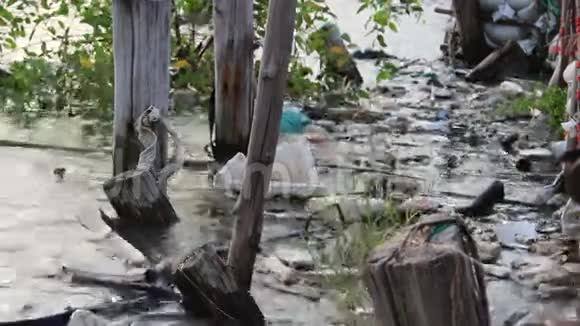 河里的垃圾视频的预览图