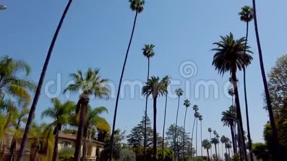 开着棕榈树穿过比佛利山庄视频的预览图