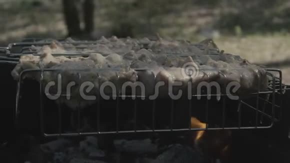 4k慢速动作近镜头的烹饪烤肉串在森林的煤视频的预览图