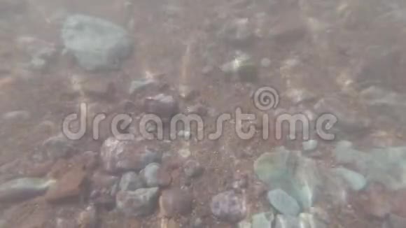 水下拍摄岩石和泥泞的底部视频的预览图