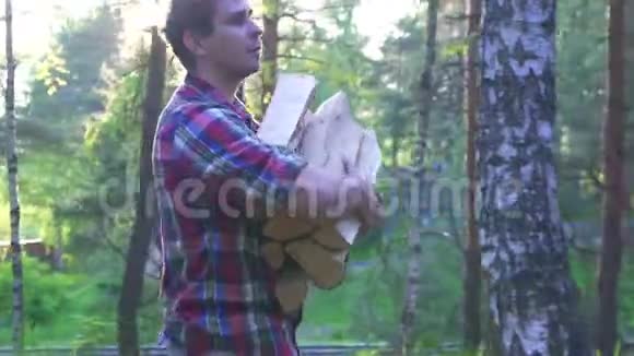 太阳耀斑穿着衬衫的人拿着木头碎的桦木视频的预览图
